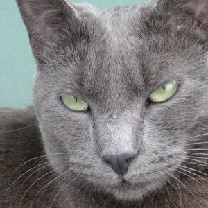 Meet your Posher, Maureen